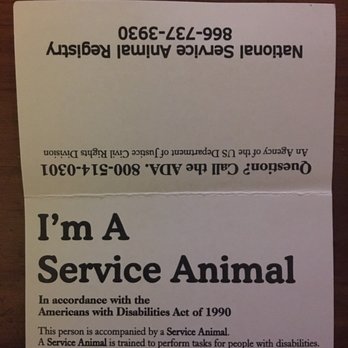 Buffalo Wild Wings - When my dog graduated from service-schooling, they gave me a pack of these cards... learn something! - American Near Me - Seymour, Indiana