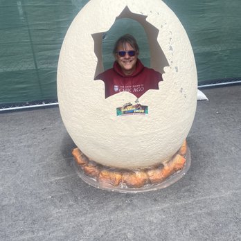 Yellowstone Bear World - I'm Hatching - Zoos Near Me - Rexburg, Idaho Yellowstone Bear World - I'm Hatching - Zoos Near Me - Rexburg, Idaho