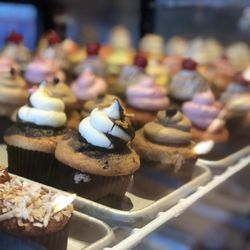 The Cake Boutique - Cupcakes galore!