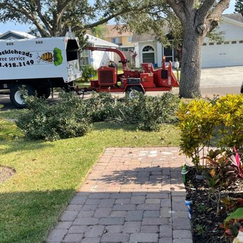 Knuckleheads Tree Service - Process of tree trimming - Tree Services Near Me - Tampa, Florida Knuckleheads Tree Service - Process of tree trimming - Tree Services Near Me - Tampa, Florida