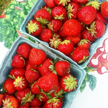 Fishers Farmers Market - Farmers Market Near Me - Fishers, Indiana