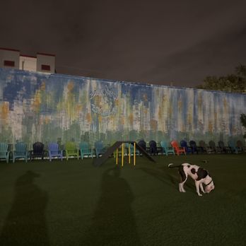 Barkyard n' Brews - Dog Parks Near Me - Fort Lauderdale, Florida