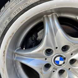 Tire Kingdom