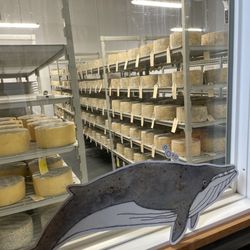 Mystic Cheese - Cheese cave