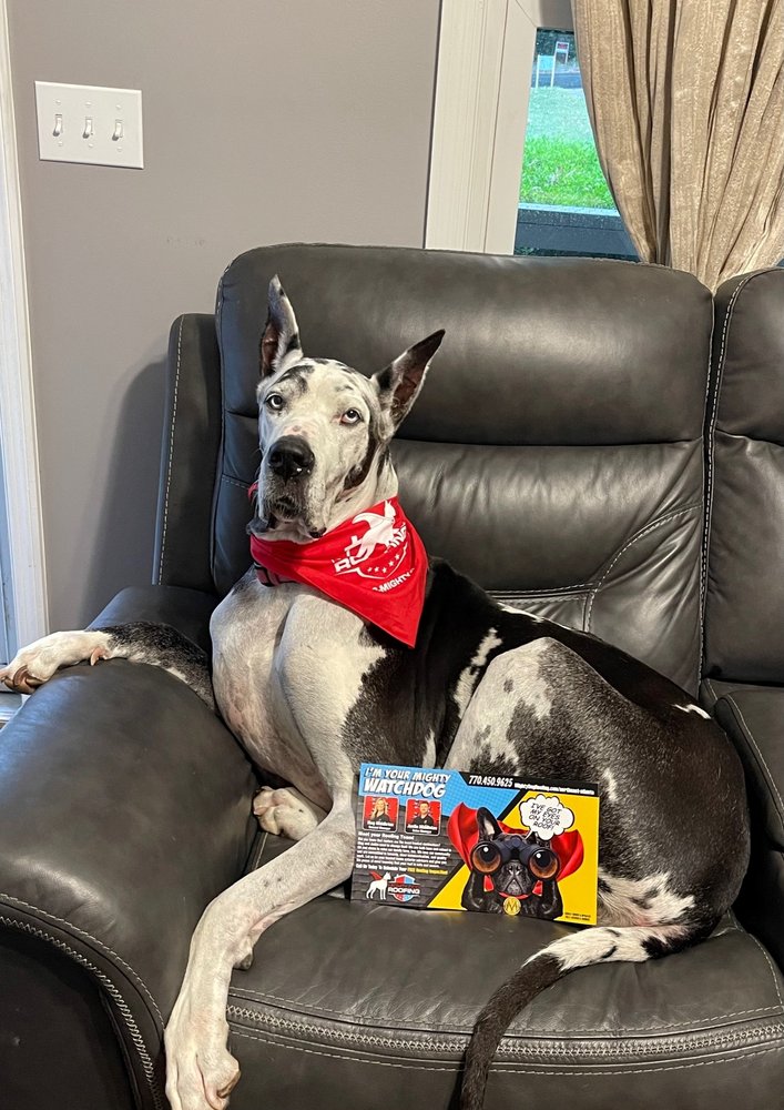 Slide of Mighty Dog Roofing of Northeast Atlanta