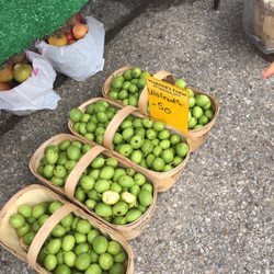 Etobicoke Civic Centre Farmers Market - We even grow walnuts here too!