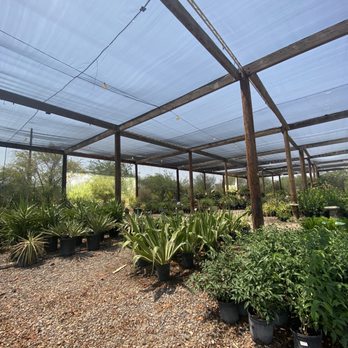 Whitfill Nursery - Nurseries & Gardening Near Me - Gilbert, Arizona Whitfill Nursery - Nurseries & Gardening Near Me - Gilbert, Arizona