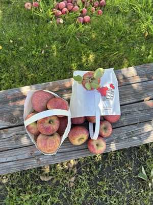 Willowbrook Apple Farm by null