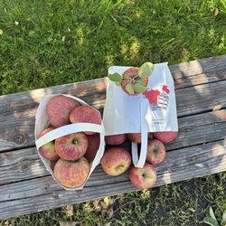 Willowbrook Apple Farm - Apples