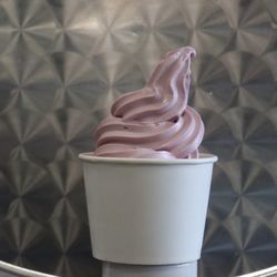 Twisted Bliss Frozen Yogurt