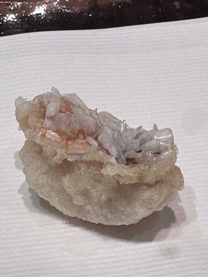 TenTempura Uchitsu by null