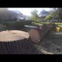 Photo of American ArborPro Professional Tree Service