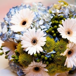 Photo from Leah LaRiccia Photography