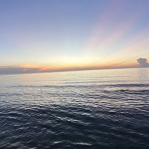 Beach at Oakland Boulevard on Yelp