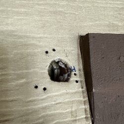 Mountain Alarm - Hole left in my home did not put old camera back on like I asked them to to cover hole