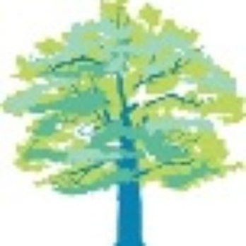 Fairlington Dental - General Dentistry Near Me - Arlington, Virginia Fairlington Dental - General Dentistry Near Me - Arlington, Virginia