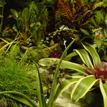 Hydroponics House - Nurseries & Gardening Near Me - Mount Clemens, Michigan