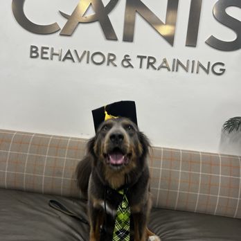 CANIS - Behavior and Training - Pet Training Near Me - Tarzana, California CANIS - Behavior and Training - Pet Training Near Me - Tarzana, California
