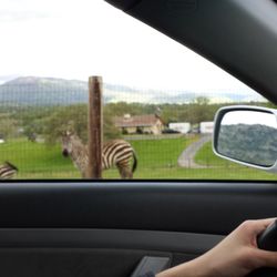 Rush Hour Driving School - We don't drive students just in neighborhoods, we give them a full driving experience.
