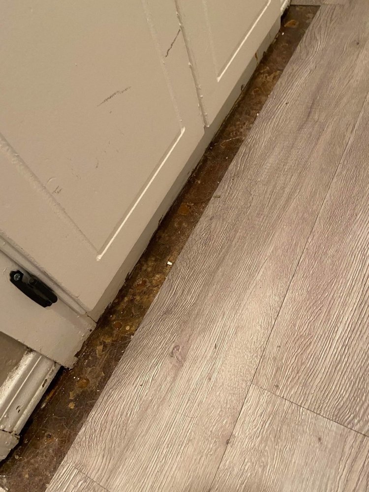 LAWTON DRYWALL AND PAINT Updated August 2024 67 Photos Lawton