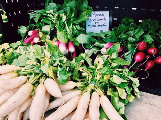 Riverdale Y Sunday Market by null