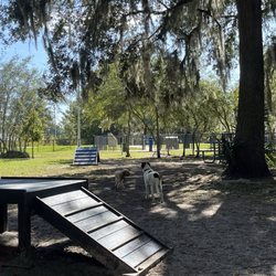 Forest Park