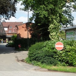 Pflanzen Körner