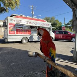 El Taco Loco - Pet friendly patio with cool urban vibe