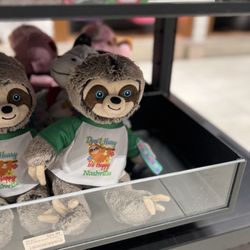 BNA District News - Adorable sloth