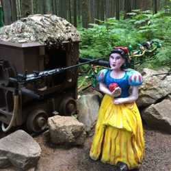 The Enchanted Forest
