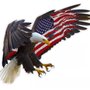 American Dream Property Inspection