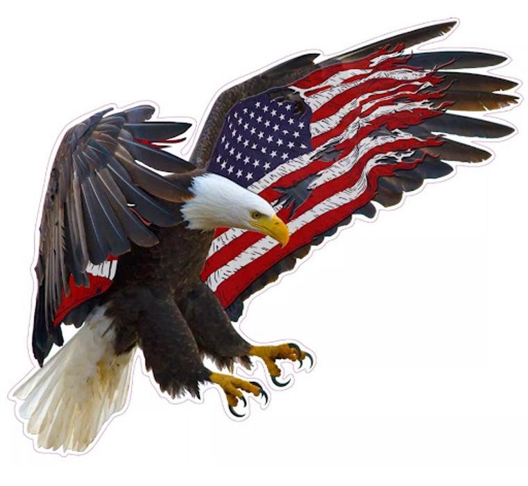American Dream Property Inspection