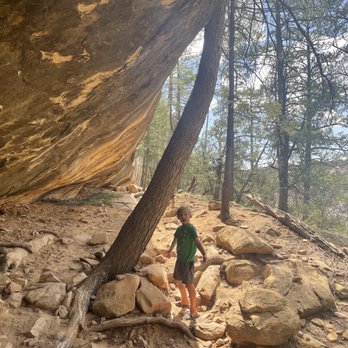 Mesa Verde National Park - Parks Near Me