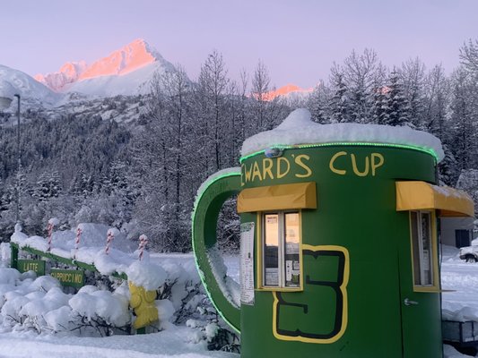 Seward’s Cup by null