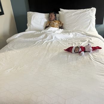 Holiday Inn Houston-Webster - She loves the bed - Hotels Near Me - Webster, Texas