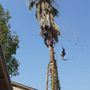 Photo of Woodpecker Landscaping