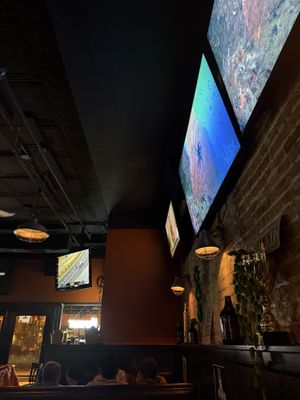 Haymarket Pub & Brewery by null