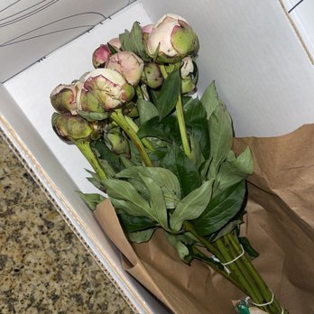 UrbanStems - Flowers when received - Florists Near Me UrbanStems - Flowers when received - Florists Near Me