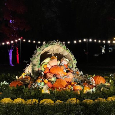 Franklin Park Conservatory and Botanical Gardens by null