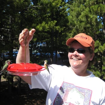 Wild Birds Unlimited - Hummingbirds will eat nectar just about anywhere! - Bird Shops Near Me - Fort Collins, Colorado Wild Birds Unlimited - Hummingbirds will eat nectar just about anywhere! - Bird Shops Near Me - Fort Collins, Colorado