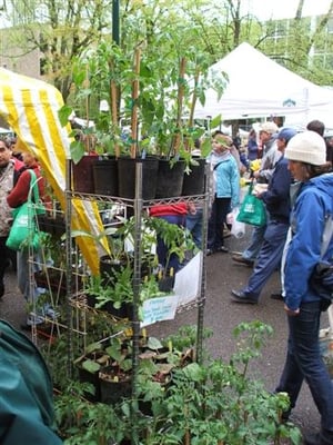 Portland Farmers Market at PSU by null