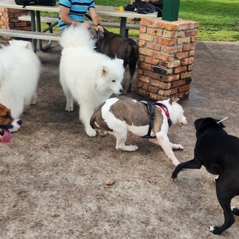 Happy Tails Dog Park - Dog Parks Near Me - Plantation, Florida Happy Tails Dog Park - Dog Parks Near Me - Plantation, Florida