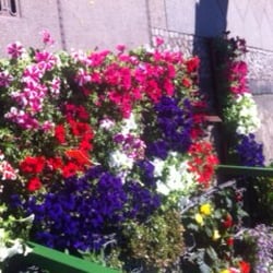 Blumen Lina & Layla