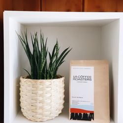 1a Coffee Roasters