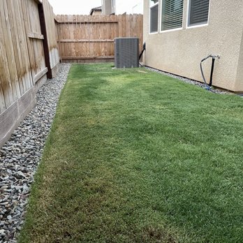 Picture Perfect Lawn - Landscaping Near Me - Fresno, California Picture Perfect Lawn - Landscaping Near Me - Fresno, California