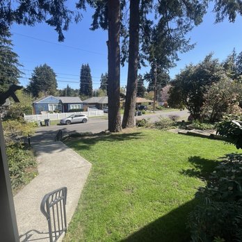 Family Tree Care - After - Tree Services Near Me - Tacoma, Washington