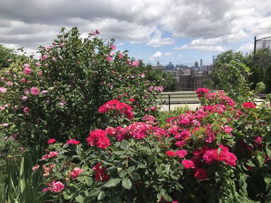 Riverview-Fisk Park by null