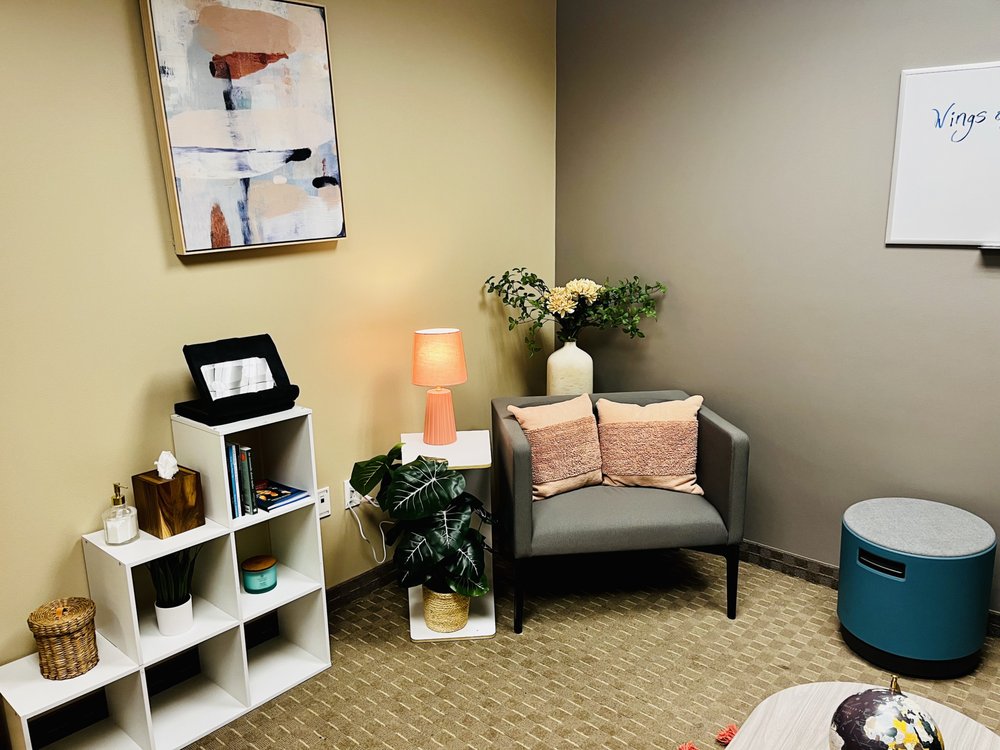 WINGS OF THE FUTURE NFP 100 Crescent Ct, Dallas, Texas Counseling