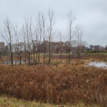 Seldom Seen Park - Ponds - Parks Near Me - Powell, Ohio