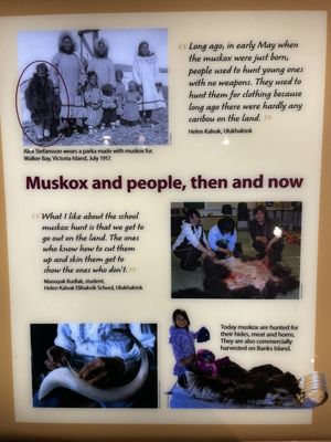 Prince of Wales Northern Heritage Centre by null